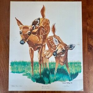 Gene Gray 1975 White-tailed Fawns Vintage Lithograph Print Collector Series II